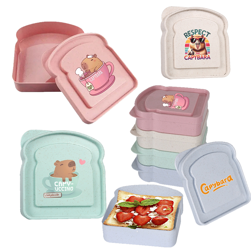 Food Storage Equipment - Capybara Sandwich Voedselopbergdoos Container Salade Fruit