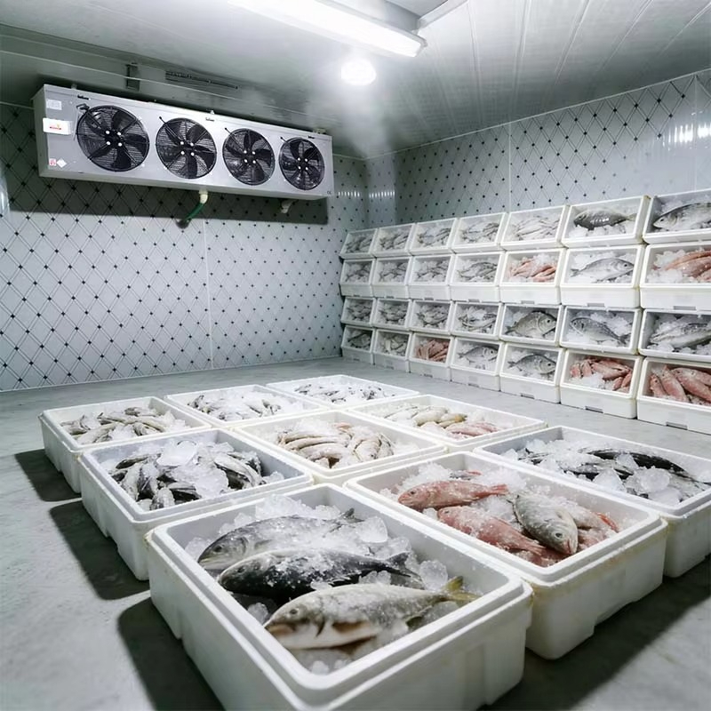 Op maat gemaakte, hygiënische, - Food Storage Food Safety recensie en prijs